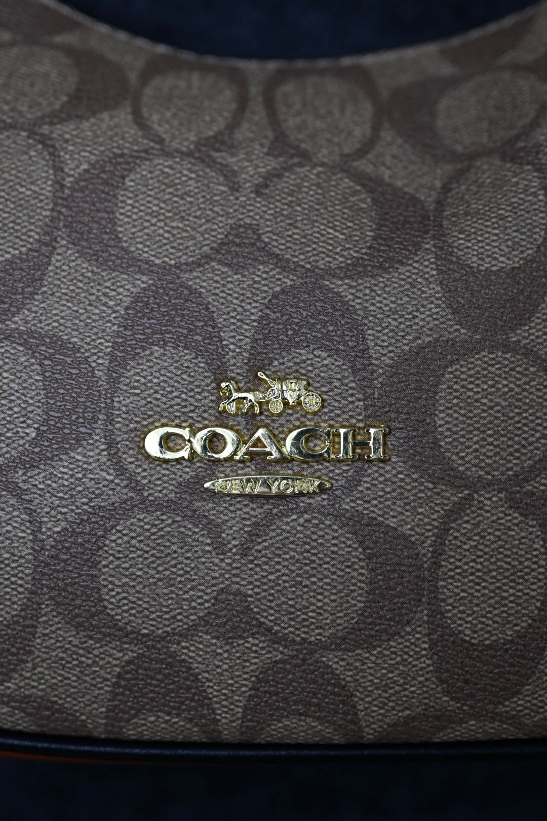 Coach Patterned Handbag